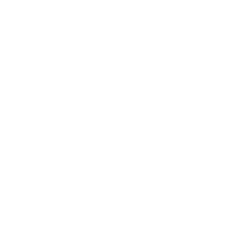 Video-Call Symbol